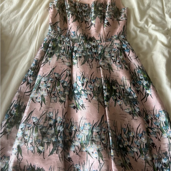 NWT Eva Franco for Anthropologie Pink and Green Floral Dress
